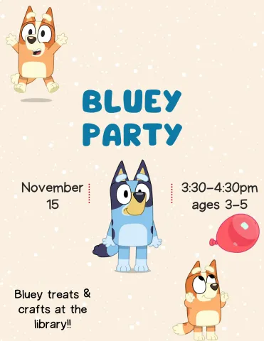 Bluey Party